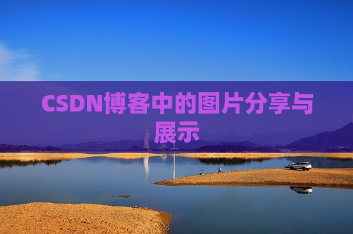 CSDN博客中的图片分享与展示